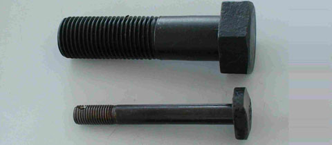 Carbon Steel Fasteners Carbon Steel Fasteners