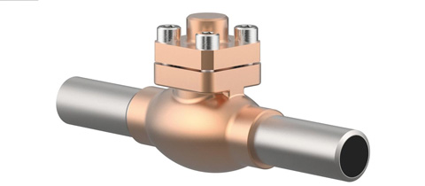 Check Valves