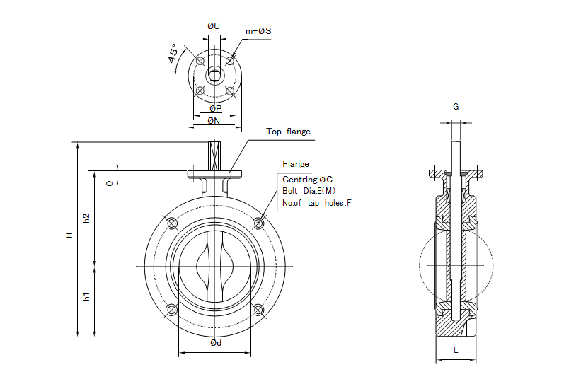 Butterfly Valves