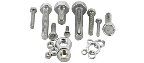 310 Stainless Steel Fasteners