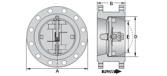 Flanged Dual Plate Check Valves