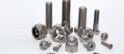 Hastelloy Fastener