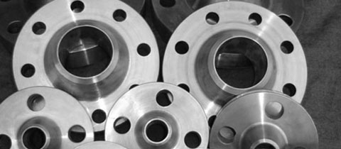 Hastelloy Flanges