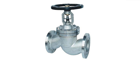 SS Globe Valves