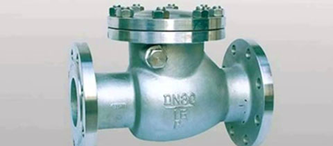 SS Lug Dual Plate Check Valves SS Lug Dual Plate Check Valves