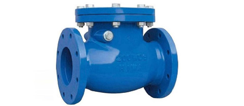 SS Non-Return Valves