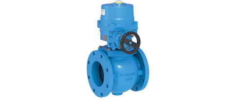 SS Plug Valves