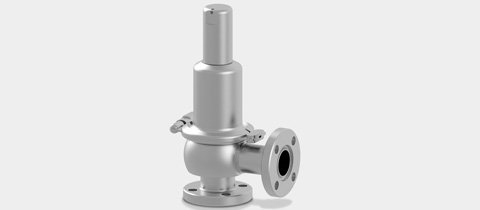 SS Safety Valves