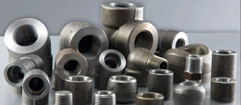 Stainless Steel Forged Fittings